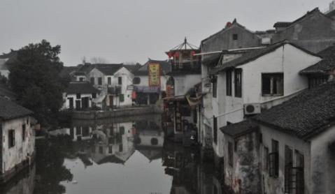 解救金刚鹦鹉